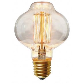 Lampada Filamento De Carbono Br85 40W 127V E27