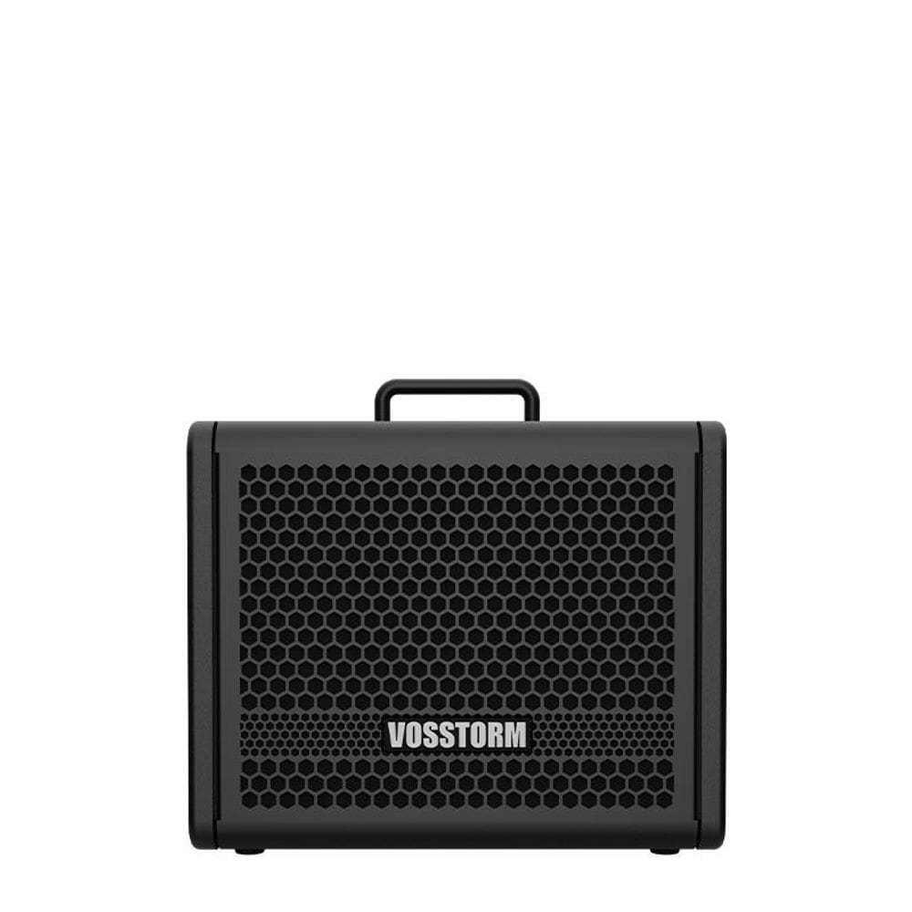 Amplificador Para Guitarra 8 Pol 25W Vosstorm Gx-8