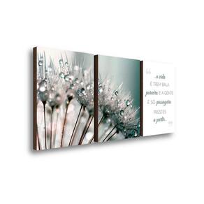Kit Trio Quadros Decorativo Flores Dente De Leão + Frase