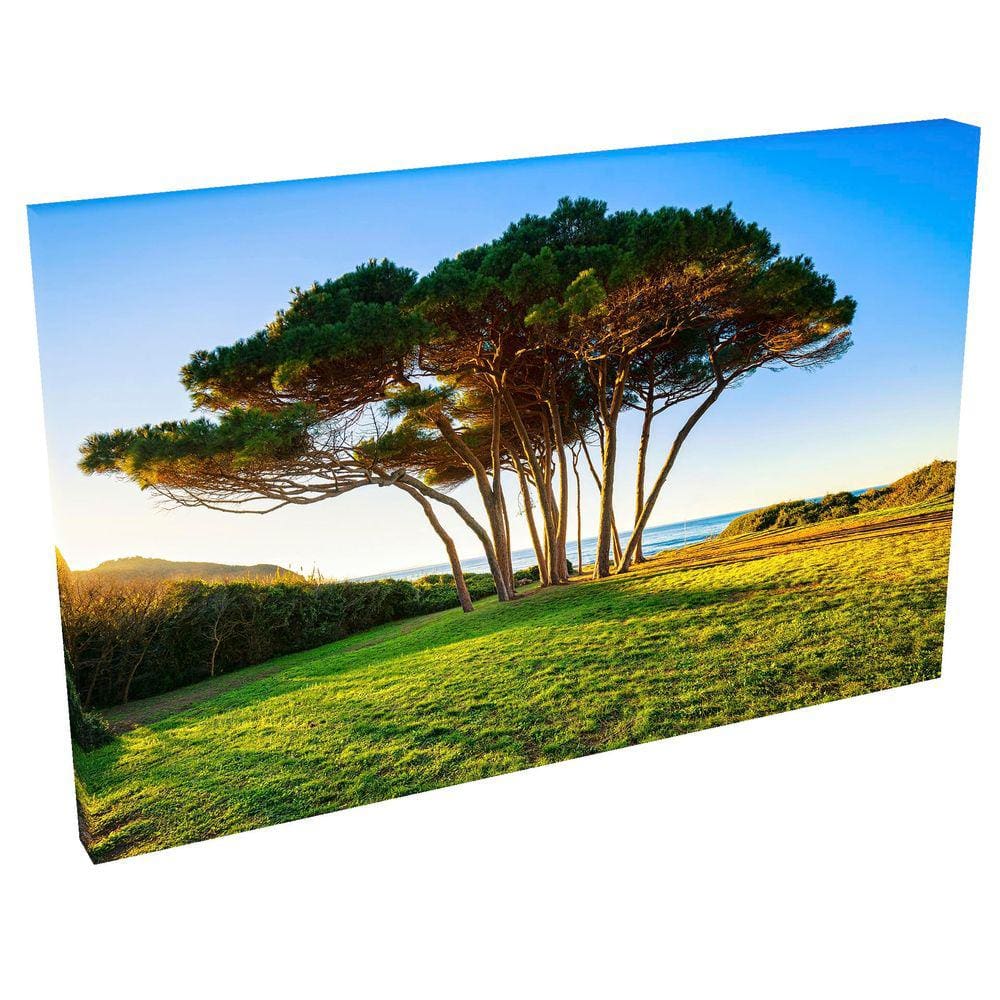 Quadro Decorativo em Tela com Borda Infinita Baratti