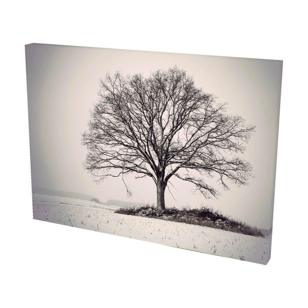 Quadro Decorativo em Tela com Borda Infinita Carvalho