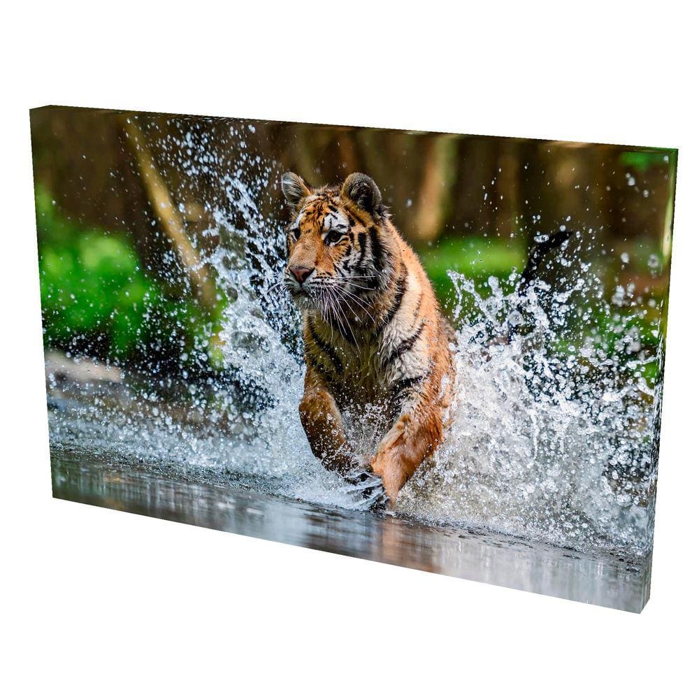 Quadro Decorativo em Tela com Borda Infinita Tigre Caçando