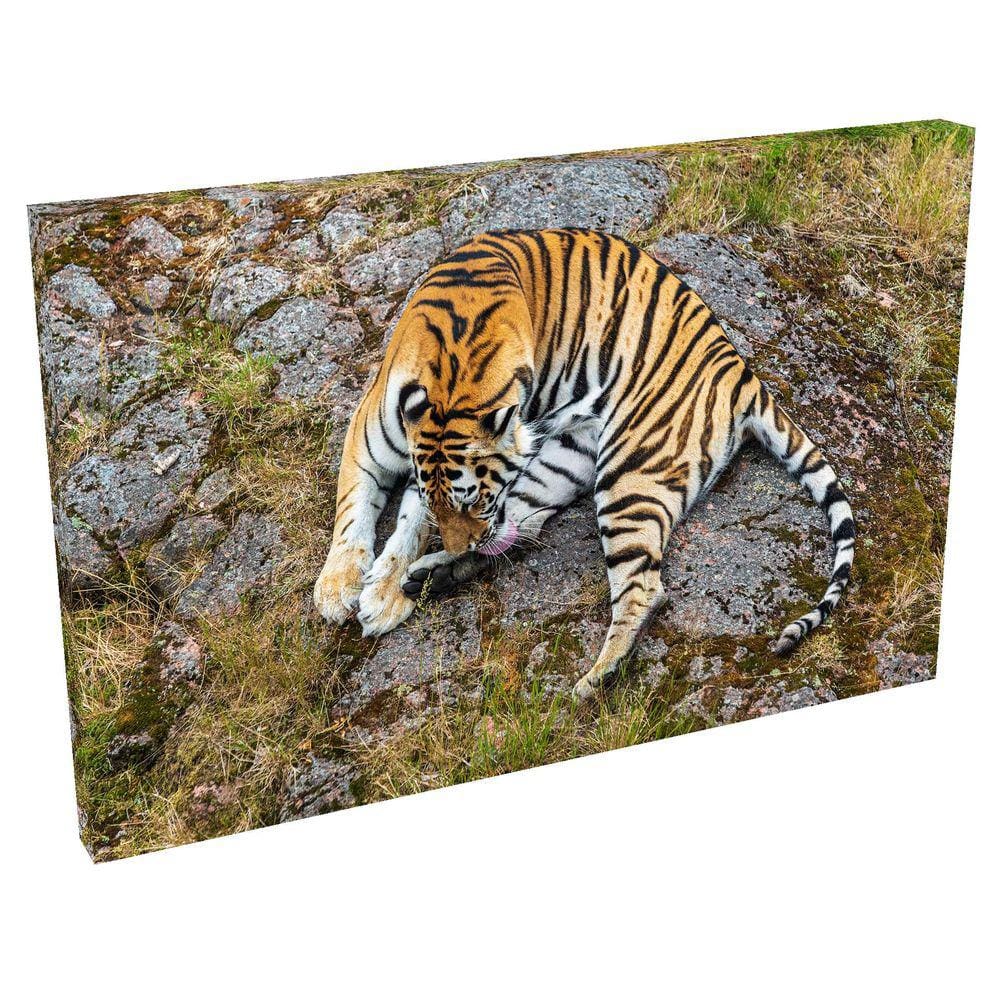 Quadro Decorativo em Tela com Borda Infinita Tigre