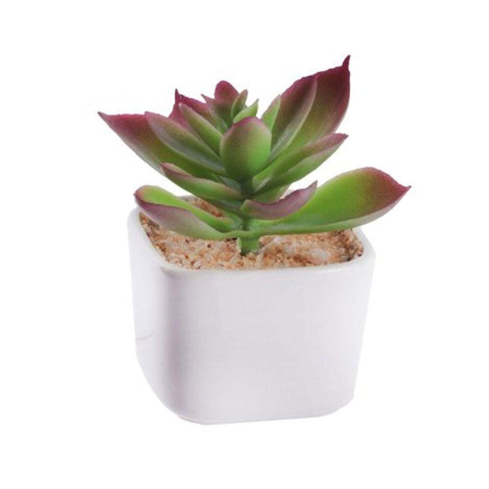 Vaso Decorativo de Ceramica 9cm Suculentas