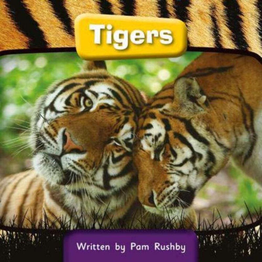Tigers