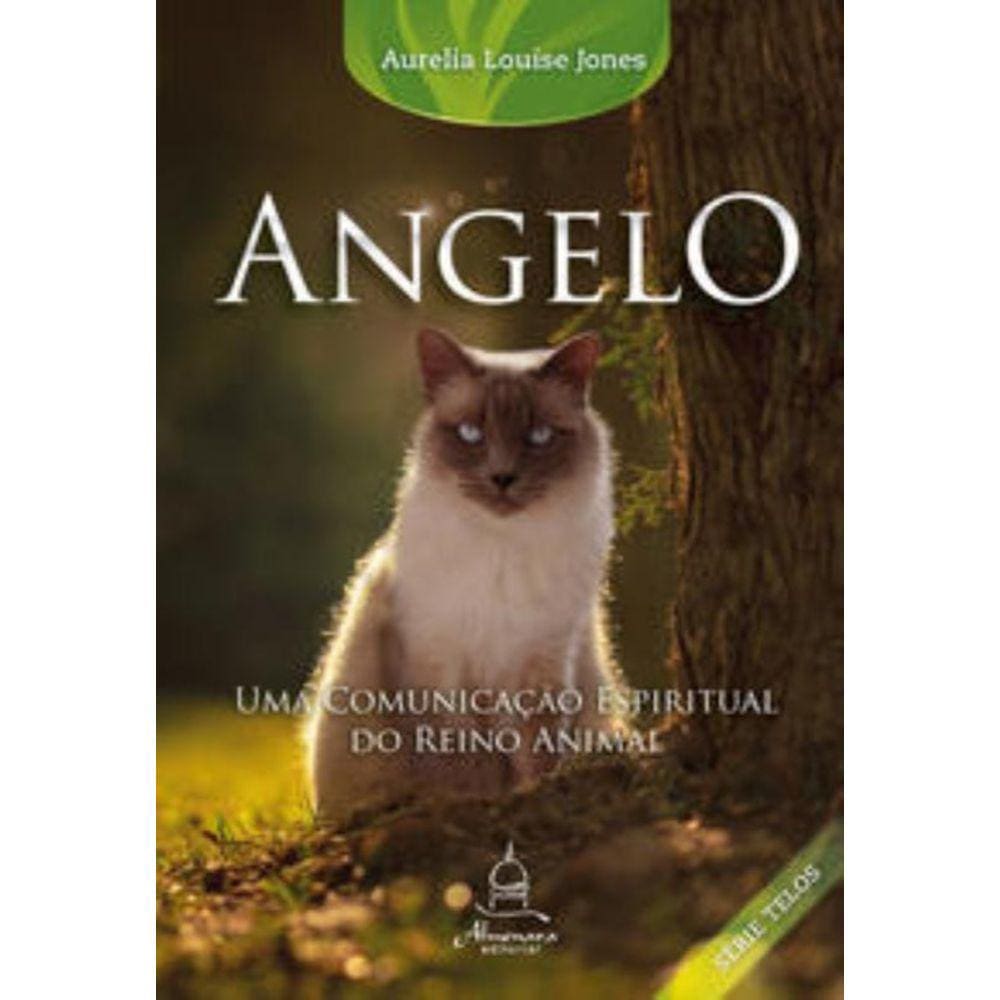 Angelo