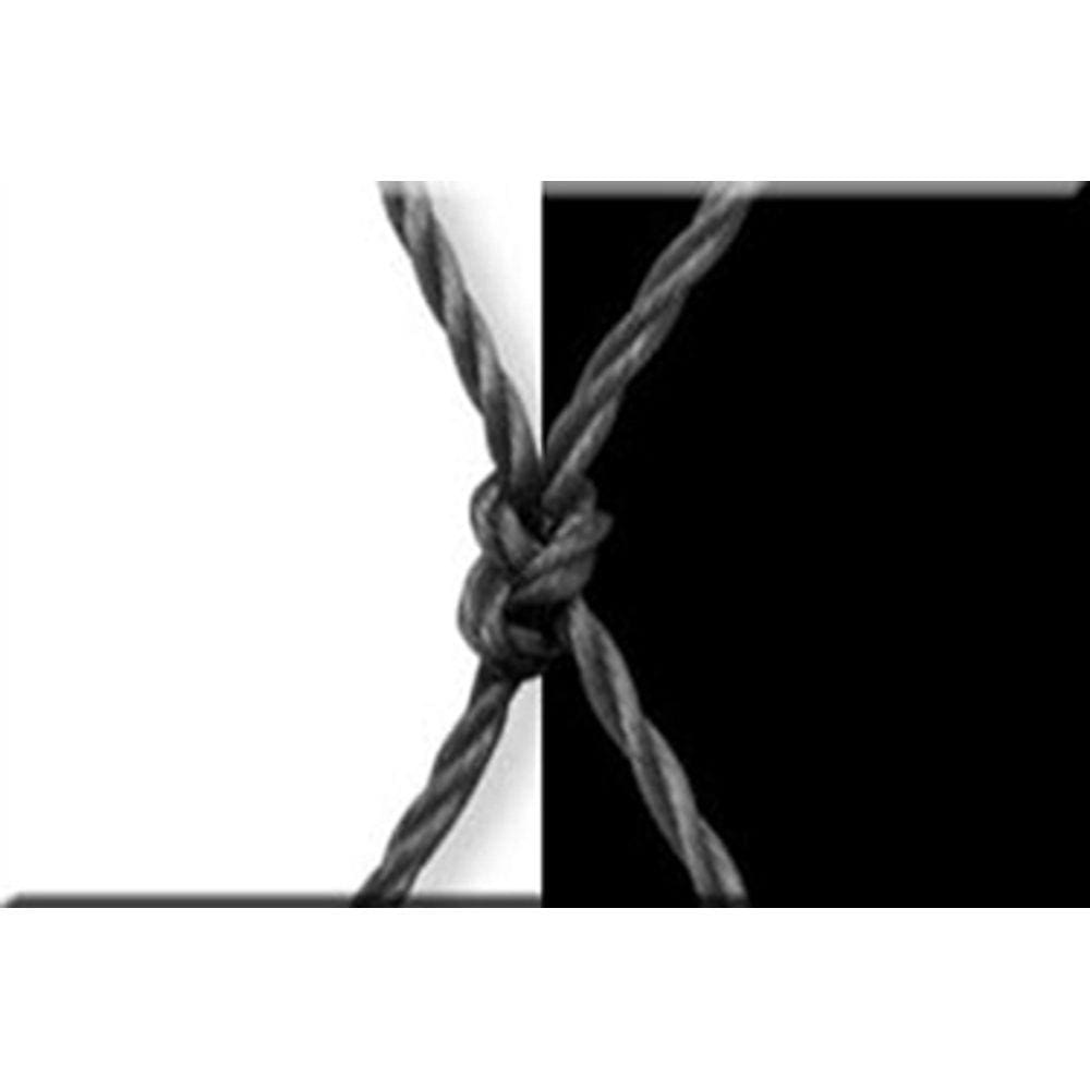 Kit 10.00x1.90 De Redes De Proteção Para Crianças E Gatos