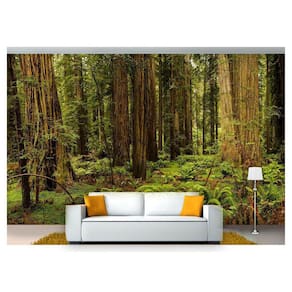 Papel De Parede Floresta Natureza Árvores 3D 3M² Xna217