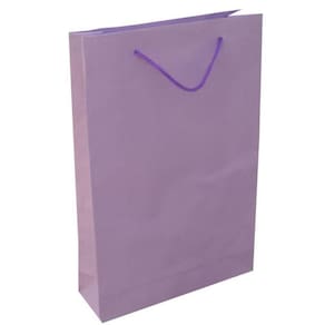 Kit 100 Sacolas Papel Lilás 25X17X6Cm Bolsa Festa 90 Gramas