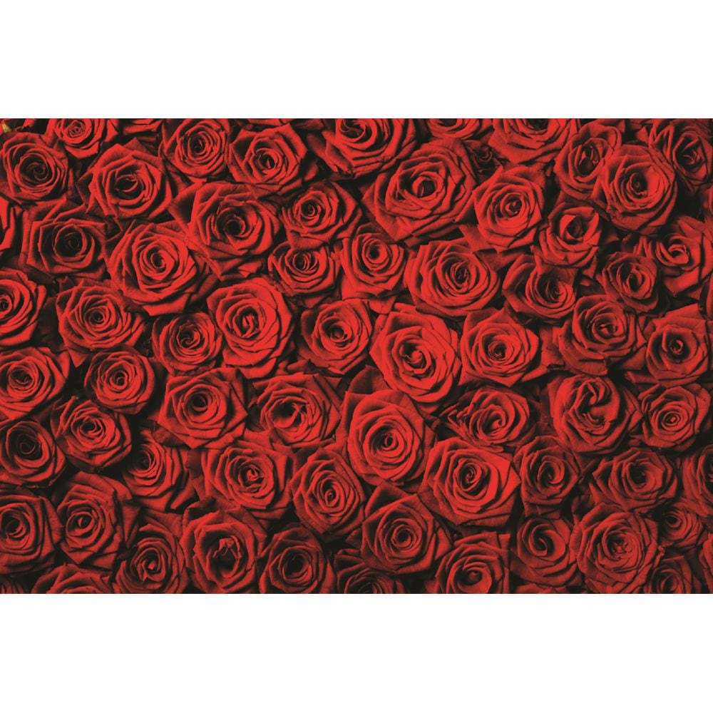 Fundo Fotográfico Em Tecido Rosas Vermelhas 2,20X1,50.