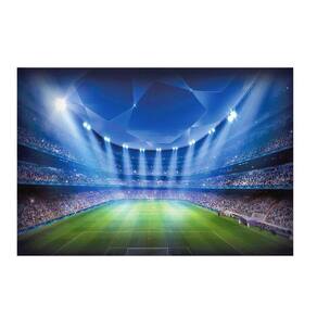 Fundo Fotográfico Gigante 3D Futebol 3,00X2,50 Horizontal