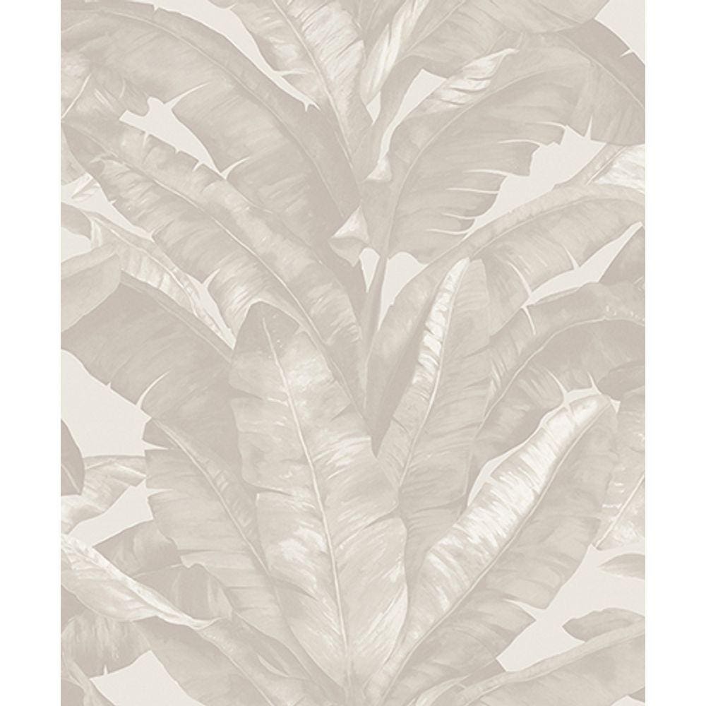 Papel de Parede importado Edantex coleção UNIQUE- rolo com 10 x 0,53 mts.