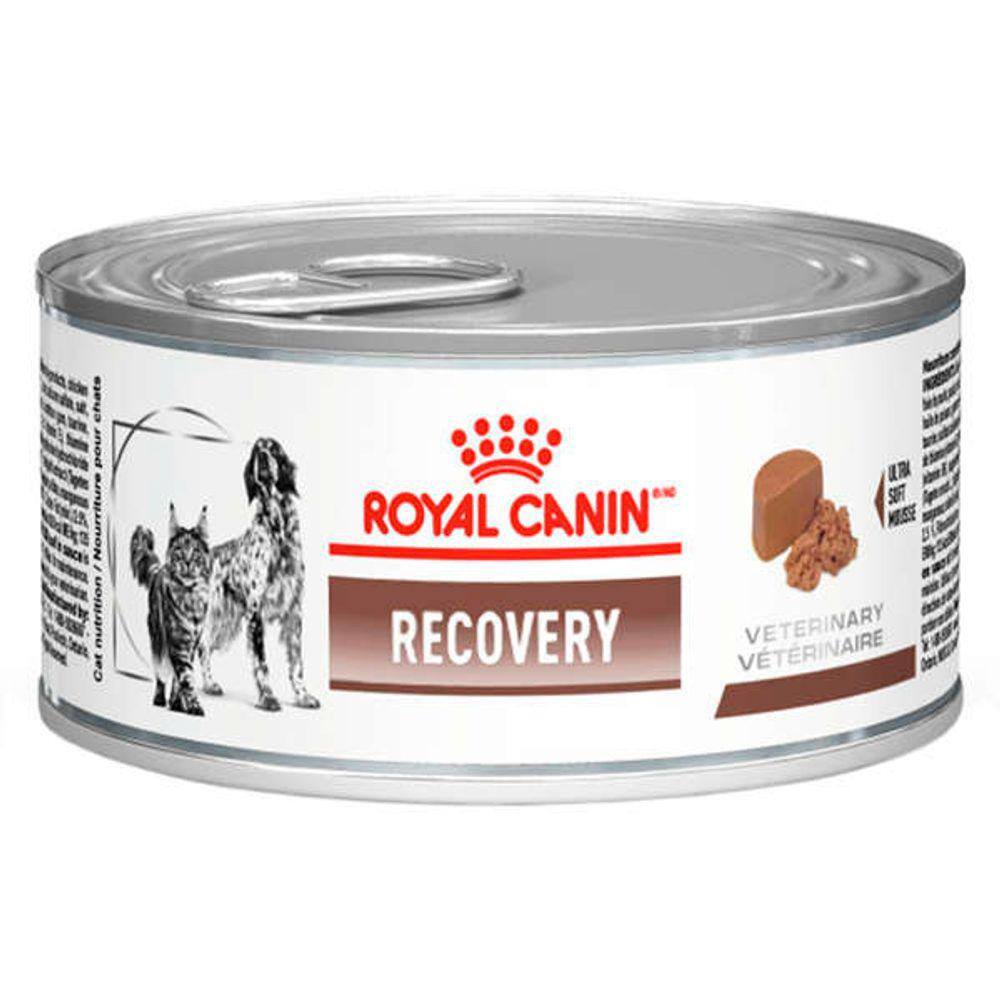 Royal canin outlet pinscher