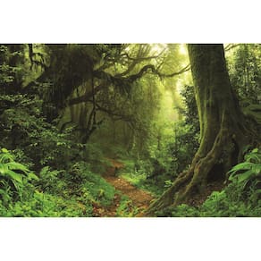 Fundo Fotográfico Em Tecido Floresta Verde 2,20X1,50.