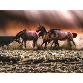Fundo Fotográfico Em Tecido Cavalos Na Praia 2,80X1,50.