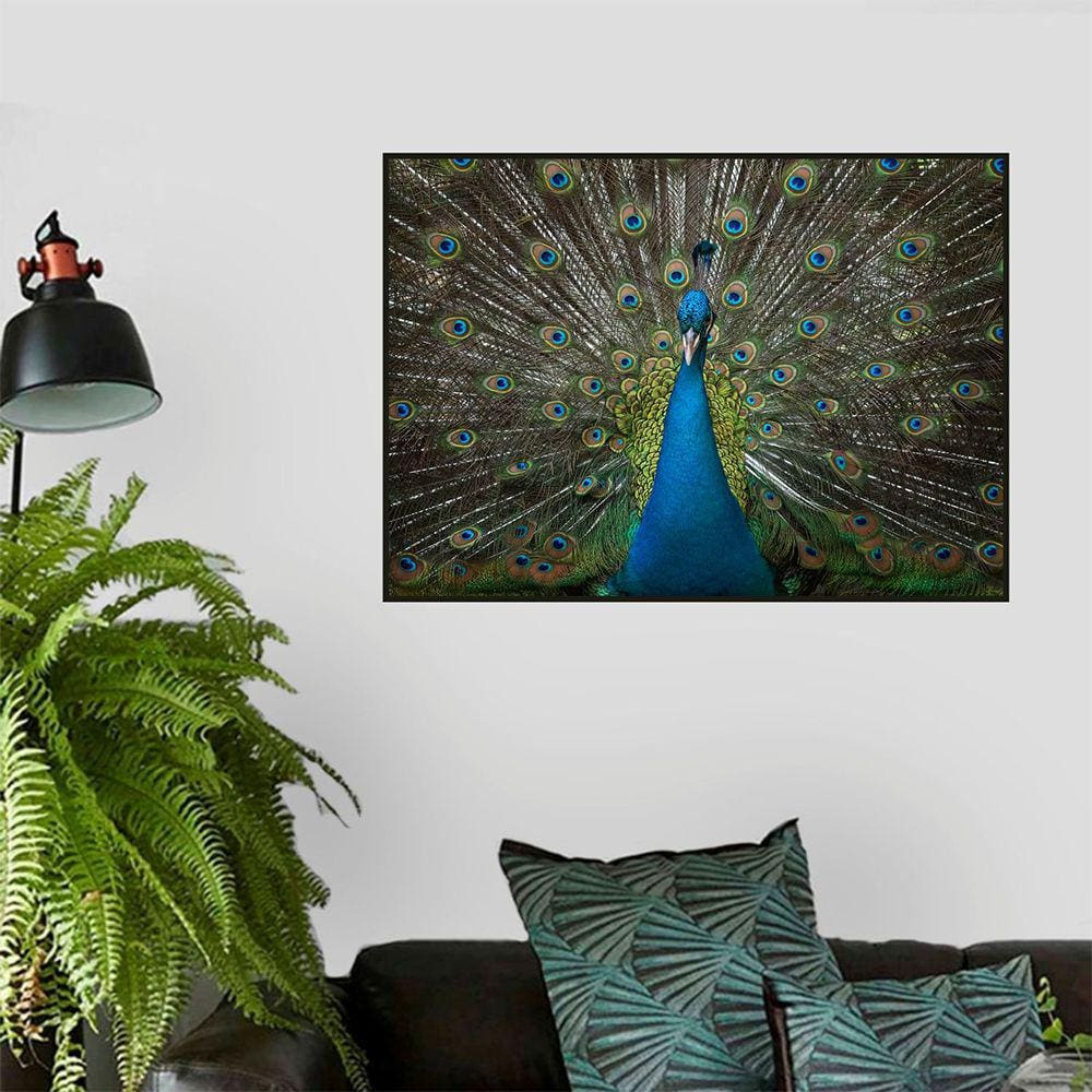 Quadro Canvas Decorativo para Sala Pavão 40x60