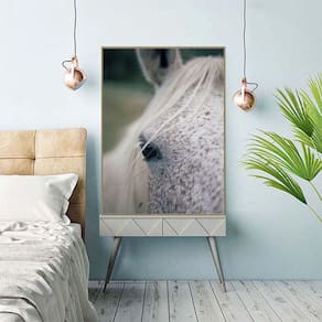Quadro Canvas Decorativo para Sala Cavalo Branco 1,30x1,00