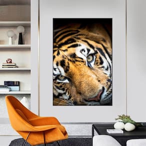 Quadro Canvas Decorativo para Sala Tigre Siberiano 90x60