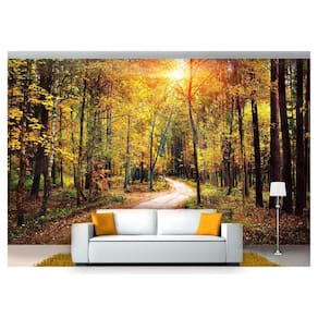Papel De Parede Floresta Natureza Árvores 3D 3M² Xna198