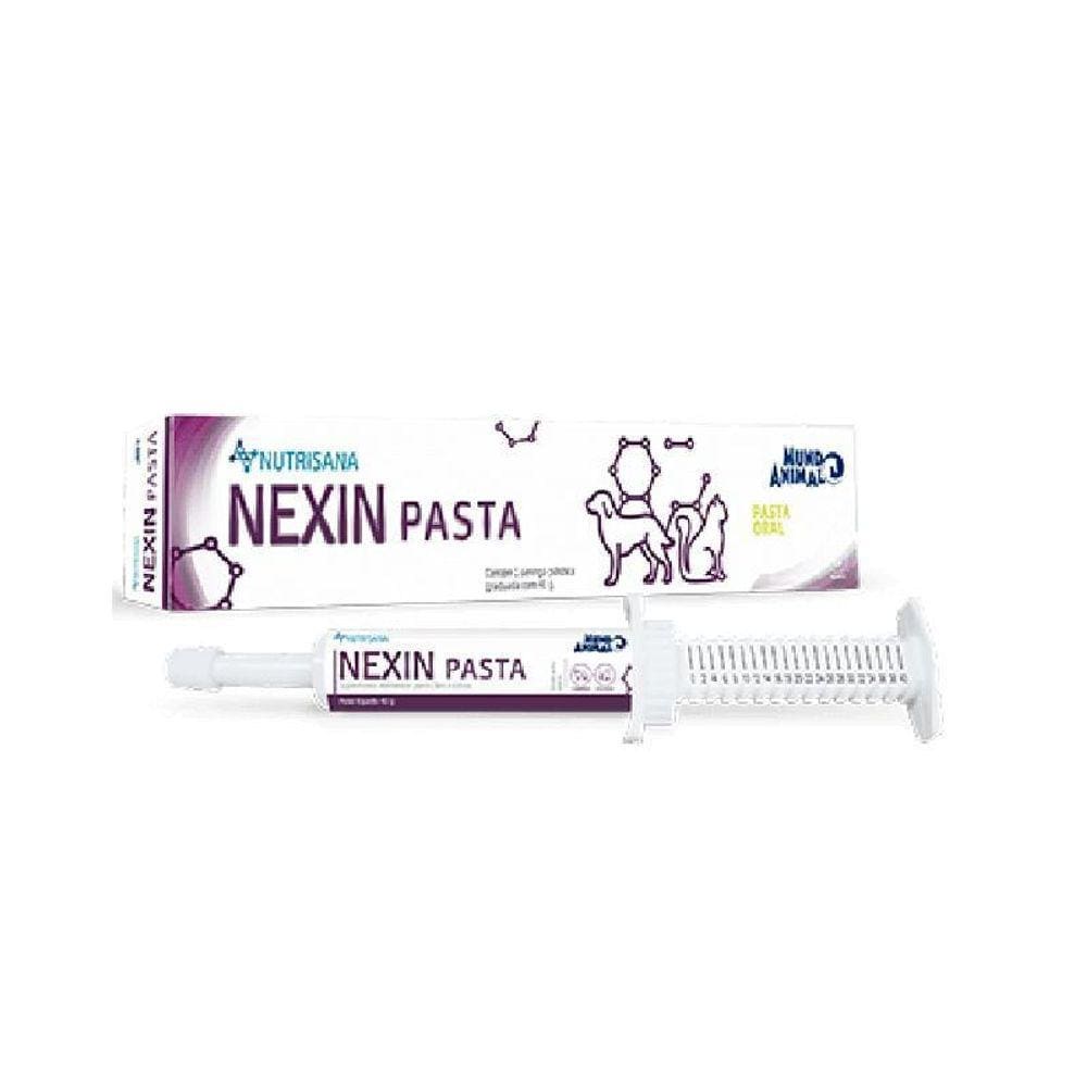 Nexin Pasta Seringa - 40 Gr