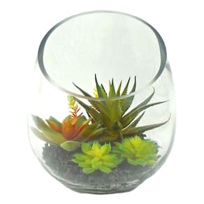 Arranjo de suculentas em vaso de Vidro 17 cm altura