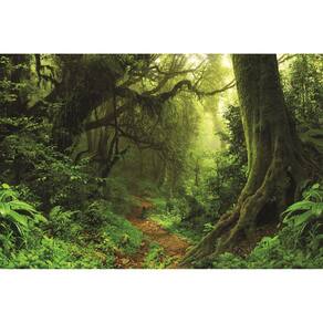 Fundo Fotográfico Em Tecido Floresta Verde 2,80X1,50.