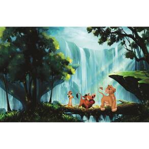 Fundo Fotográfico Em Tecido Simba 2,60X1,50