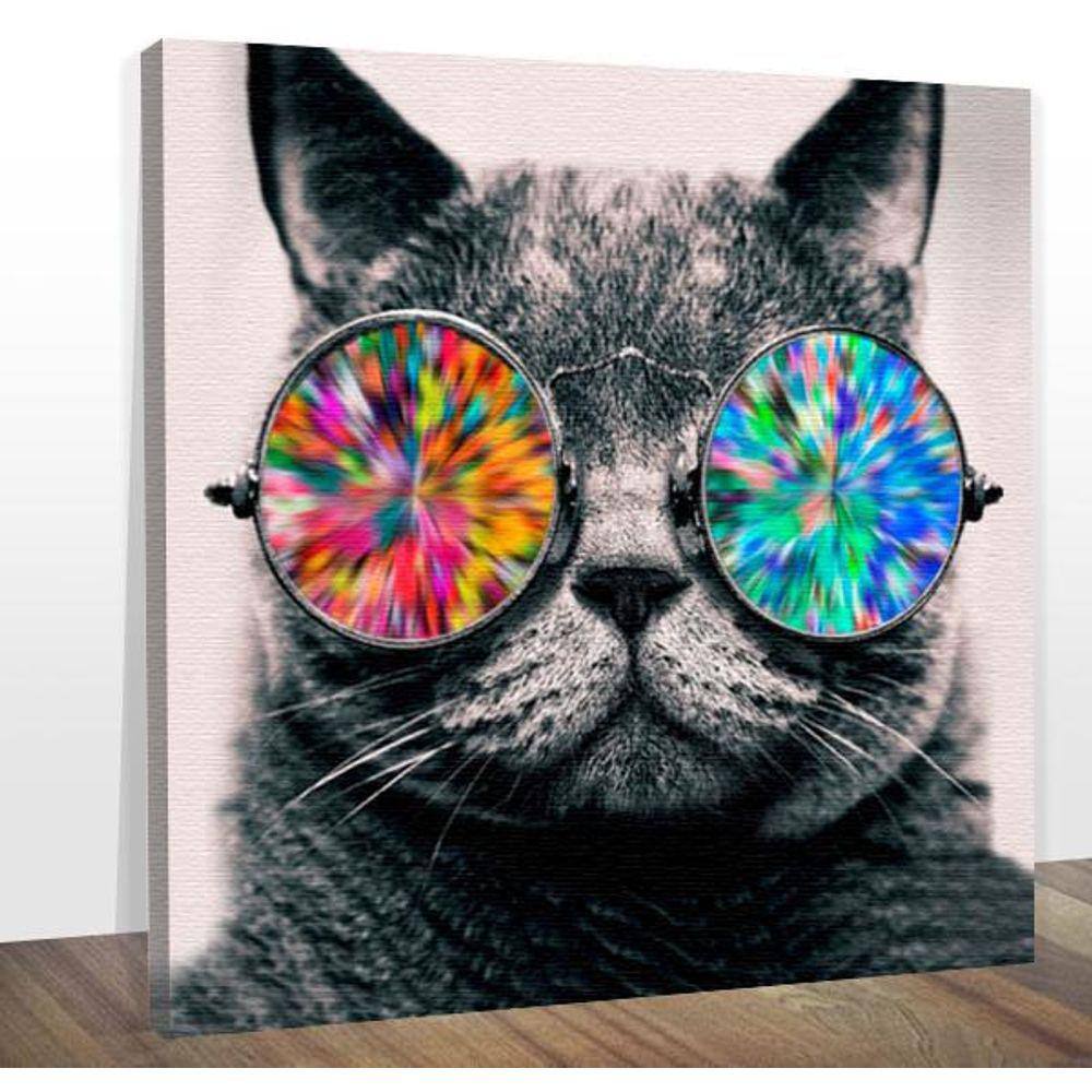 Quadro Decorativo Gato Óculos Colorido Midiapoparte 60X60 Cm