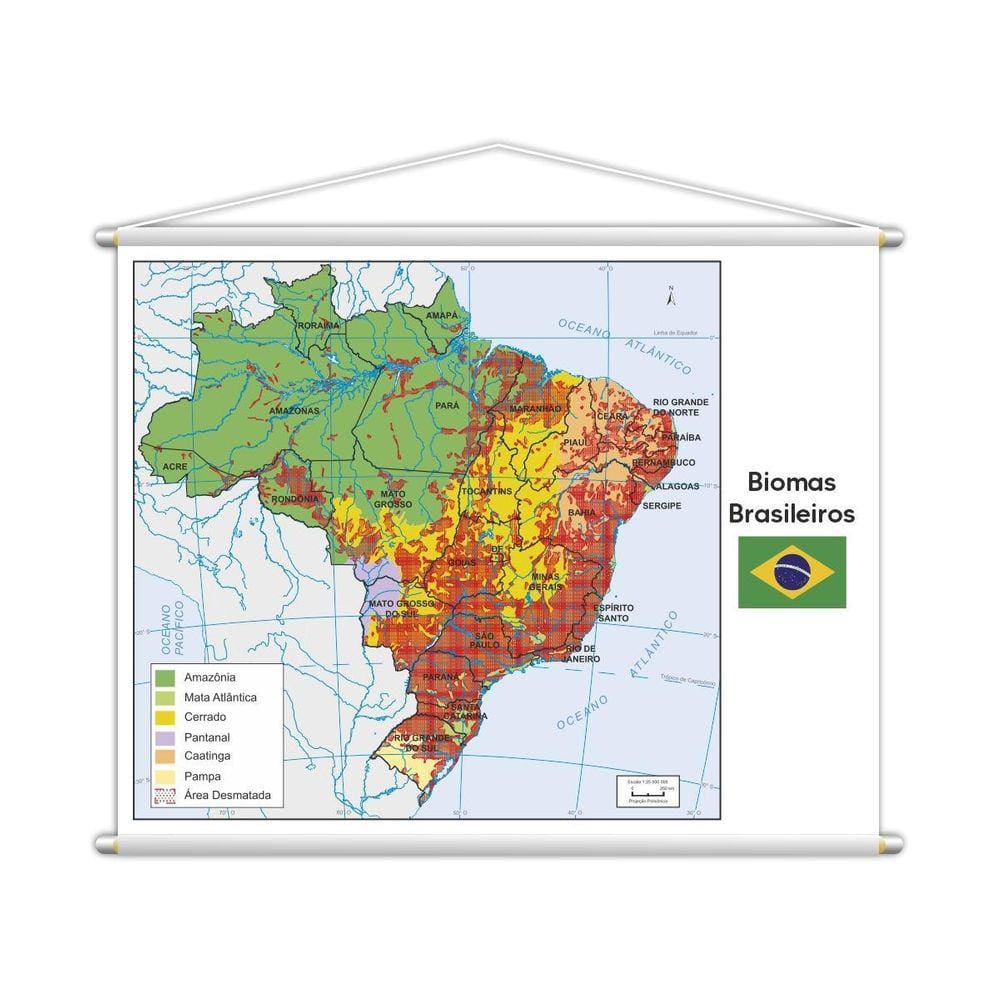 Banner Mapa Escolar Biomas Brasileiros Geografia 130X100Cm