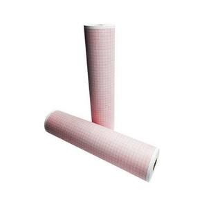 Papel Térmico Para Eletrocardiógrafo Bionet 216Mm X 30M 5Un