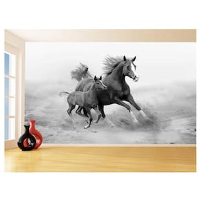 Papel De Parede 3D Animais Cavalo Filhote Potro 3,5M Anm347