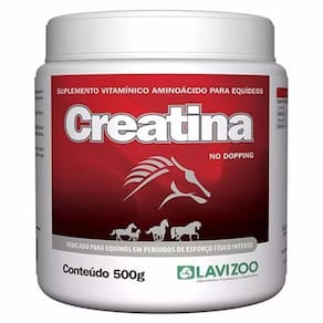 Creatina Lavizoo 500 Gramas - Suplemento Mineral Aminoácido