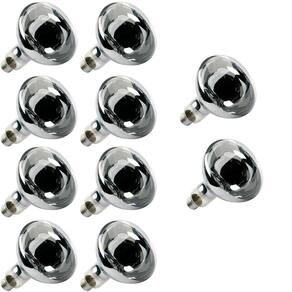 Kit 10 Lampada Secagem Infravermelha 250W 220V E27 Estufa