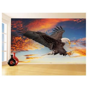 Papel De Parede 3D Animais Ave Aguia Voando Céu 3,5M Anm284