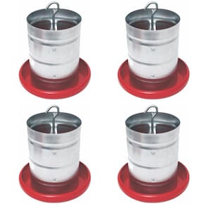 Kit Comedouro Aves Galvanizado Prato Plástico 5kg 4 Unidades