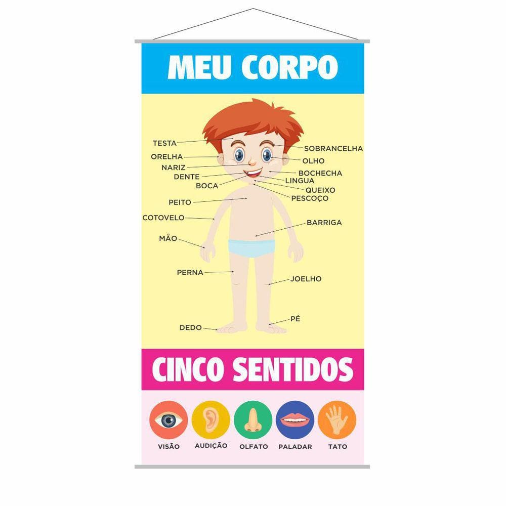 Banner Pedagógico Escolar Meu Corpo Cinco Sentidos 120X65Cm