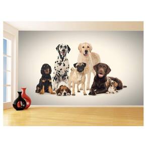 Papel De Parede 3D Animais Cão Gato Petshop 3,5M Anm419