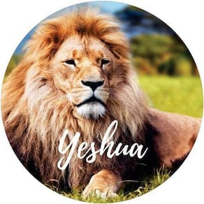 Capa De Estepe Ecosport Aircross Lion Yeshua 2