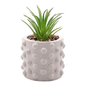 Cachepot de Cimento C/Suculenta Bubbles Cinza Claro 7,5cm 61578 - Wolff