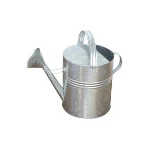 Regador De água Para Jardim Horta Galvanizado 10 Litros Branco