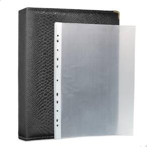 Álbum Fichário 40 Folhas PP Cédulas 1 Espaço 32x24 Cobra G