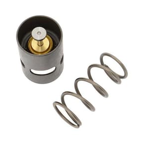 Kit Reparo Válvula Termostática 2901906700 Chicago Pneumatic