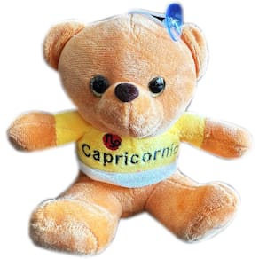 Urso Ursinho Pelucia Pequeno Roupinha Signo Cancer Fofo Cesta