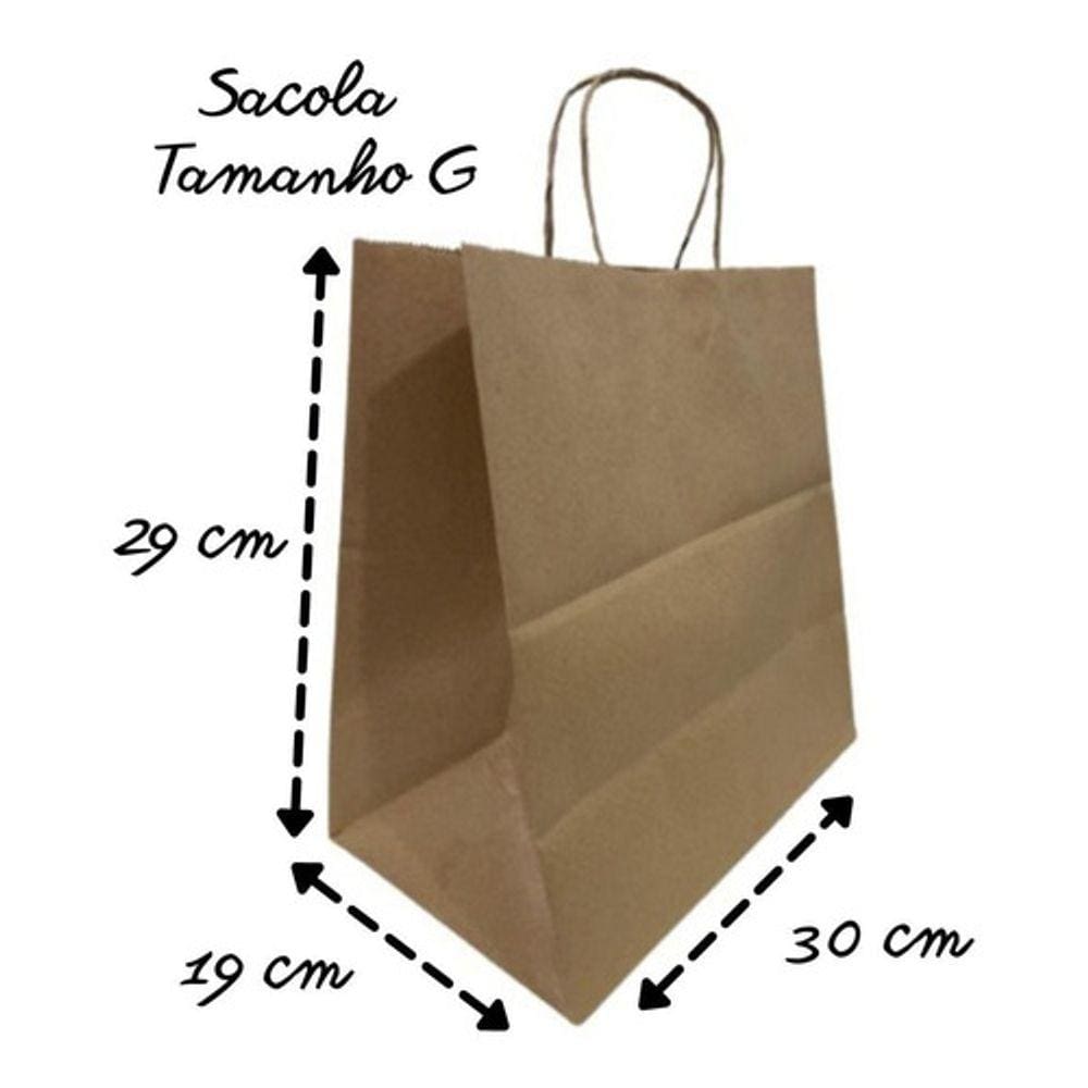 25 Sacolas Kraft Lisa Com Alça Tamanho G 29x30x19