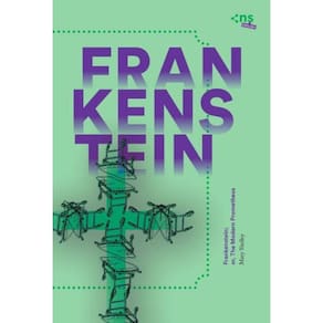 Frankenstein; or, The Modern Prometheus