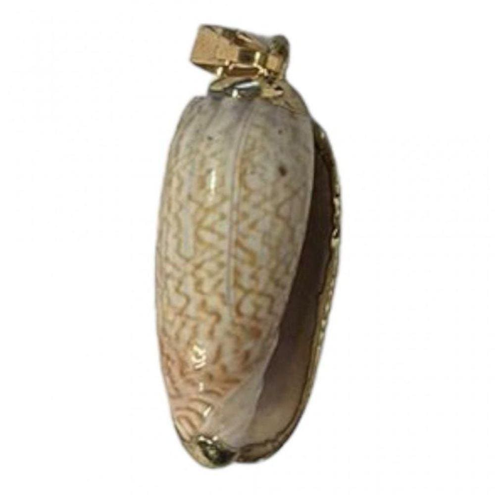 Pingente Concha Luxo 3,5 Cm Dourado