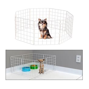 Cercado Móvel para Cachorro Pequeno Porte Gato Porquinho da Índia 8 Telas 30cm Altura Branco