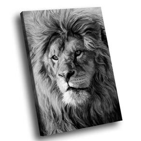 Quadro Leão Majestoso Pb Br Artes Médio 84x54
