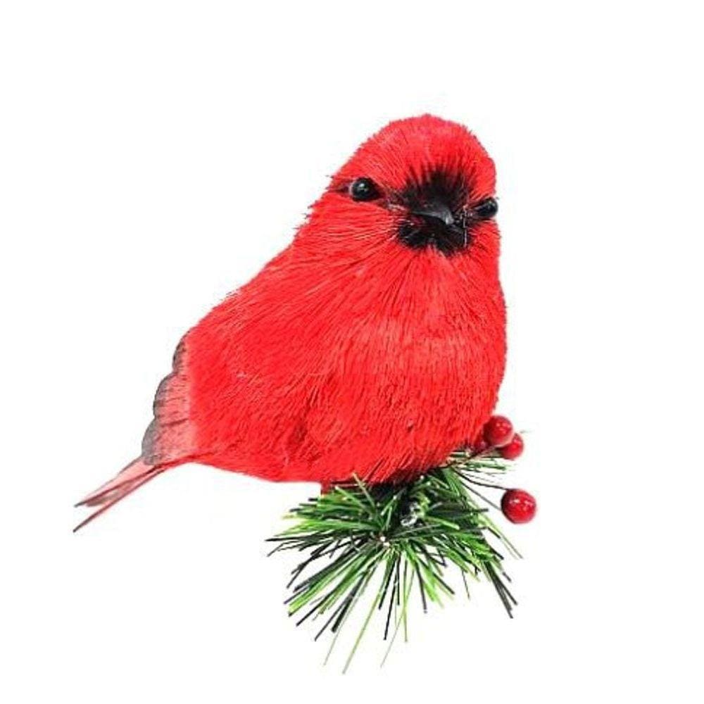 Pássaro Vermelho Cardinal Bc896