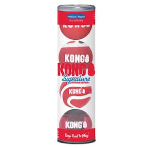 Brinquedo Para Cachorro Kong Signature Pack 4 Bolas Médio